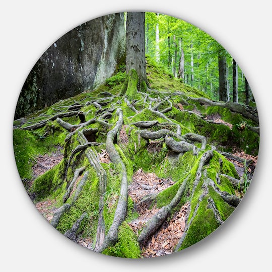 Designart - Deep Moss Forest in Ukraine' Landscape Metal Circle Wall Art | 36" x 36" | Michaels®